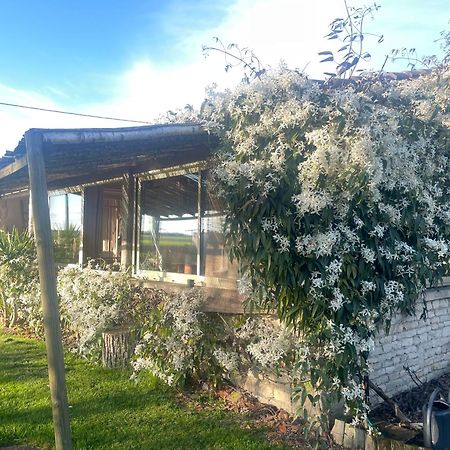 Le P'Tit Nid De Gabriel Bed & Breakfast Les Touches-de-Périgny Dış mekan fotoğraf